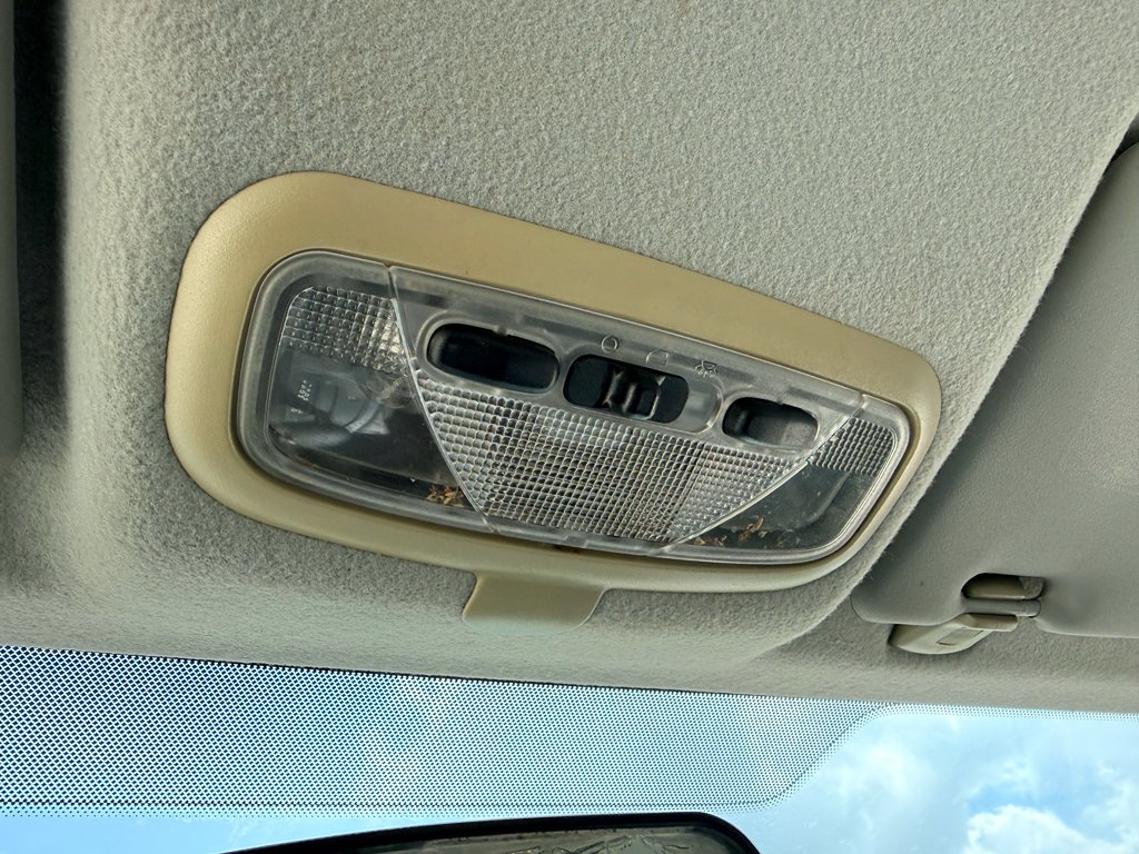 Used 2006 Infra-Red Clearcoat Ford SE image 28