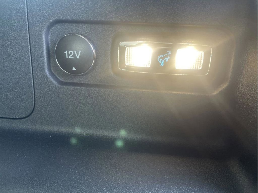 New 2024 Green Ford Black Diamond image 13