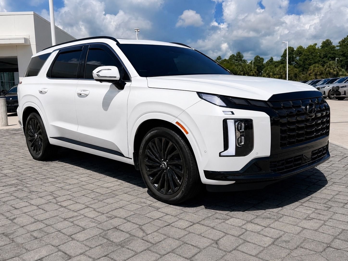 Used 2025 White Hyundai Calligraphy Night Edition image 7