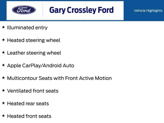 New 2026 Marsh Gray Ford ST image 11