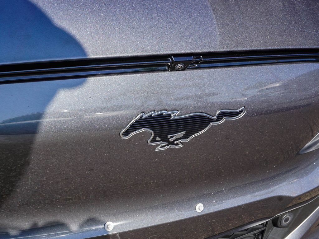 Used 2023 Gray Ford Premium image 12