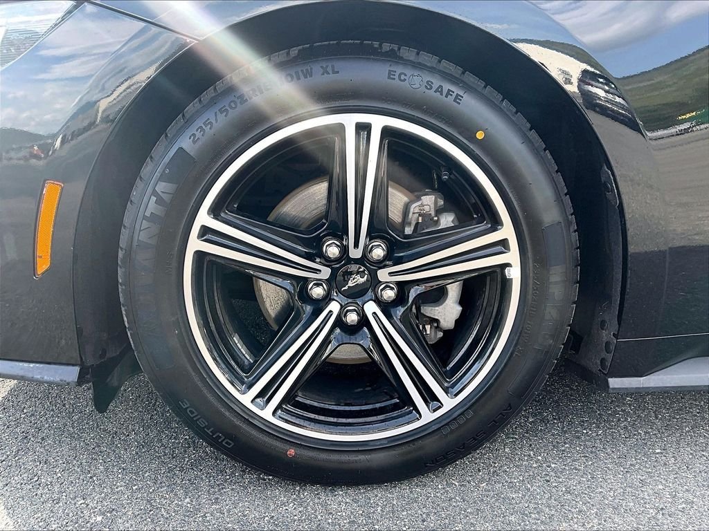 Used 2025 Shadow Black Ford EcoBoost Premium image 7