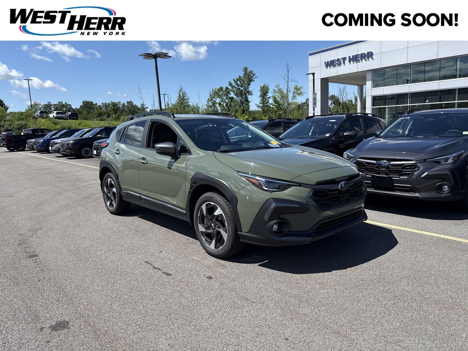 Used 2025 Alpine Green Subaru Limited image 1