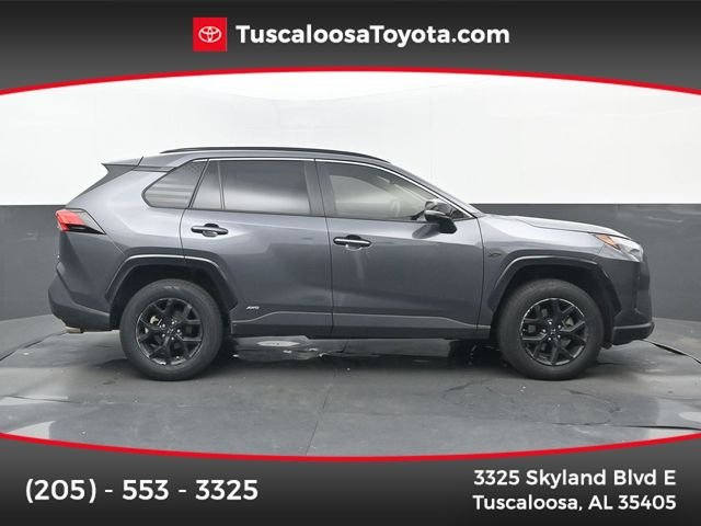 2024 Toyota RAV4 Hybrid XLE AWD's photo
