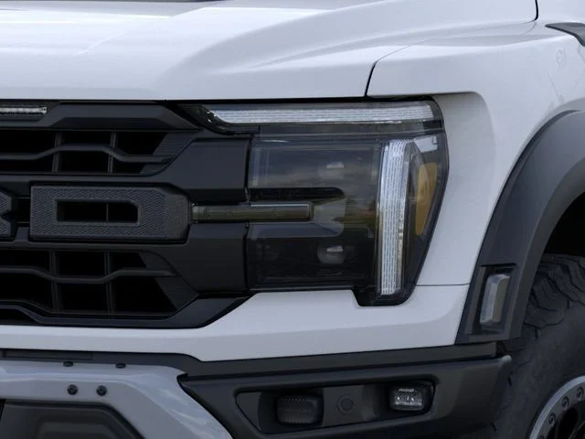 2025 Ford F-150 Raptor - Photo 18