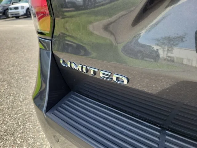 2021 Ford Expedition Limited - Photo 10
