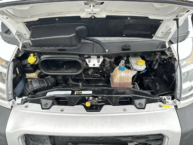Used 2021 White Ram Low Roof image 26