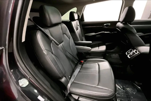 Used 2025 Panthera Metal Kia X-Line SX image 24