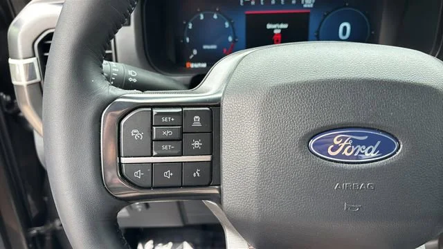 Used 2025 Gray Ford Platinum image 23
