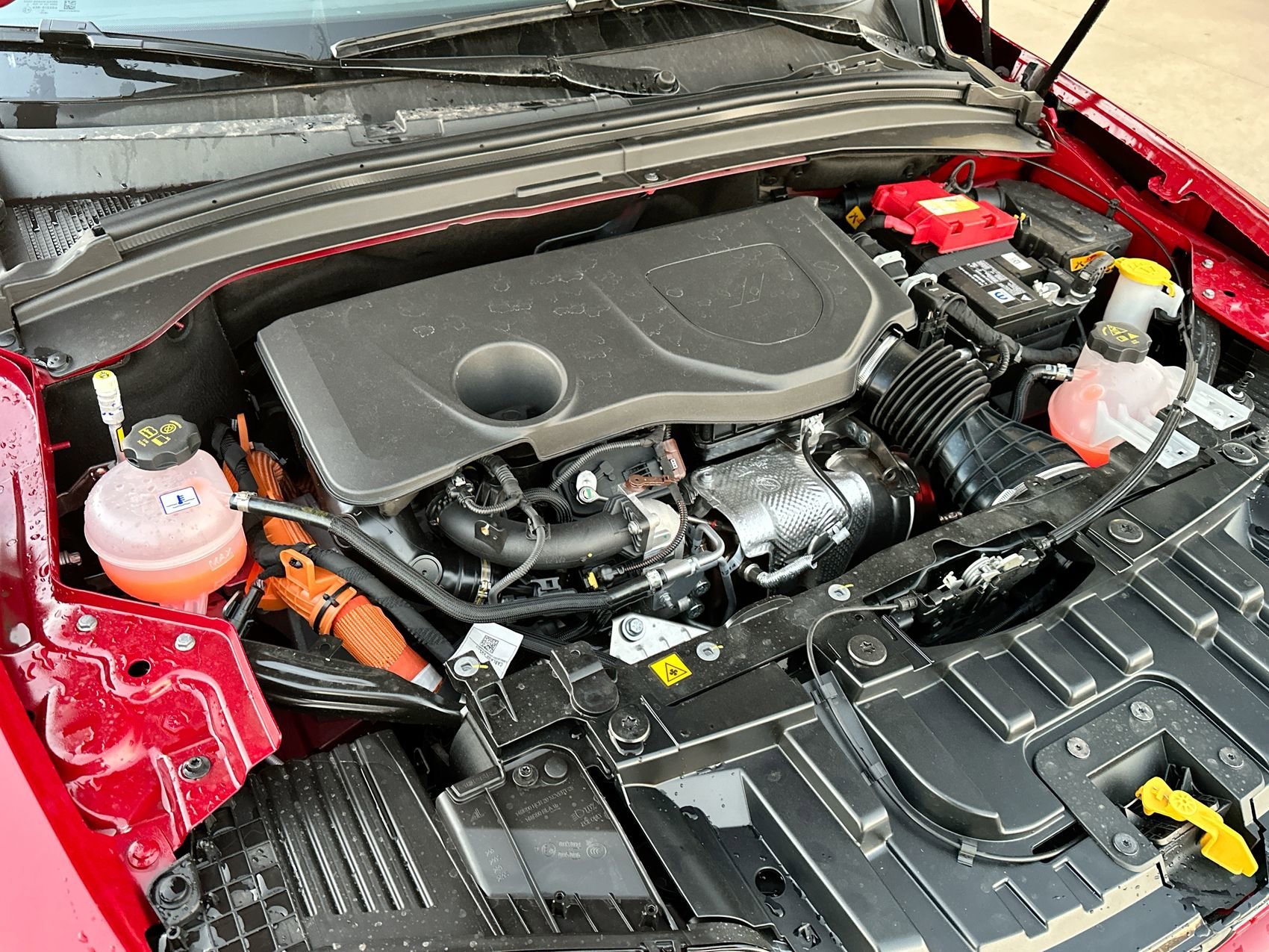 New 2024 Hot Tamale Dodge R/T image 24