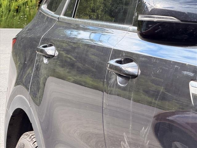 Used 2025 Panthera Metal Kia S image 16