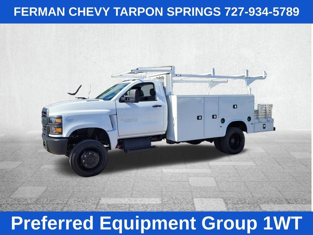 New 2024 Summit White Chevrolet Work Truck image 5