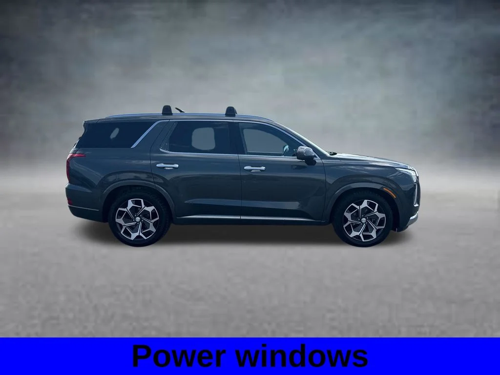 Used 2022 Rainforest Hyundai Calligraphy image 5