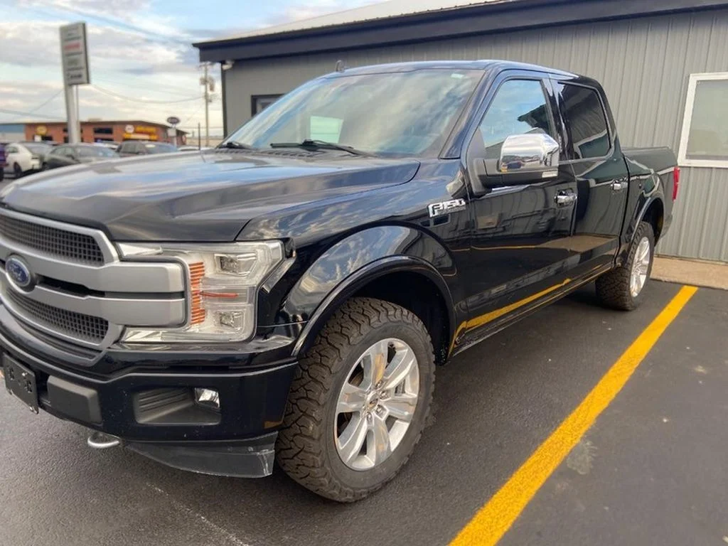 Used 2018 Shadow Black Ford Platinum image 3