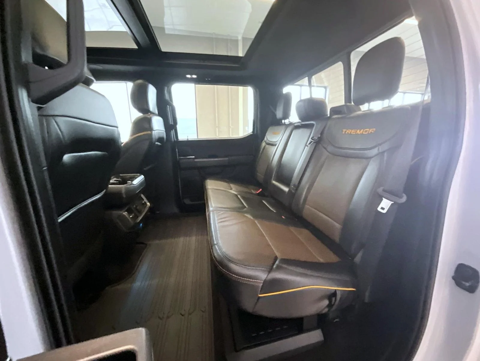2025 Ford F-150 Tremor - Photo 19