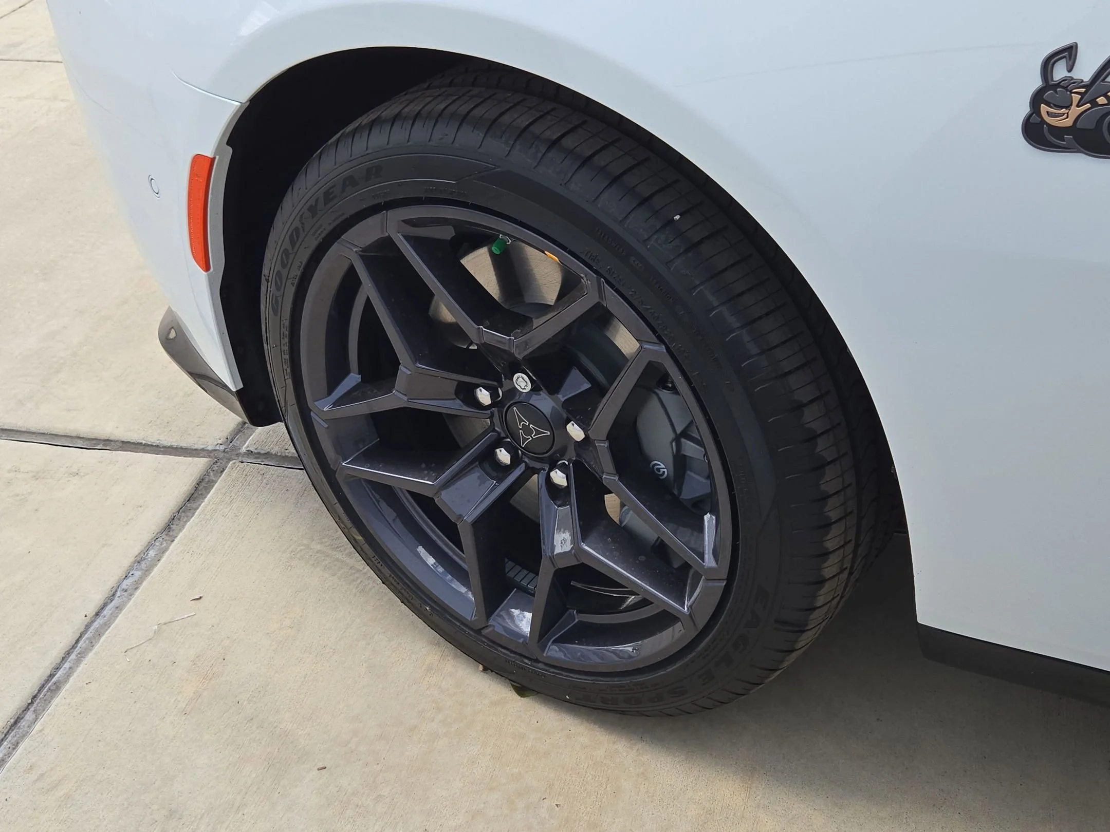 New 2026 White Knuckle Dodge Scat Pack image 22