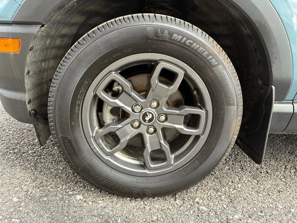 Photo 41