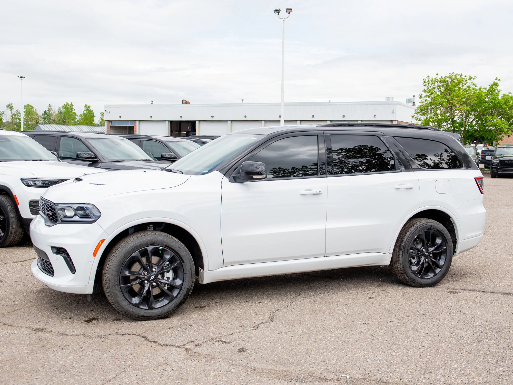 New 2026 White Dodge GT Plus* image 2