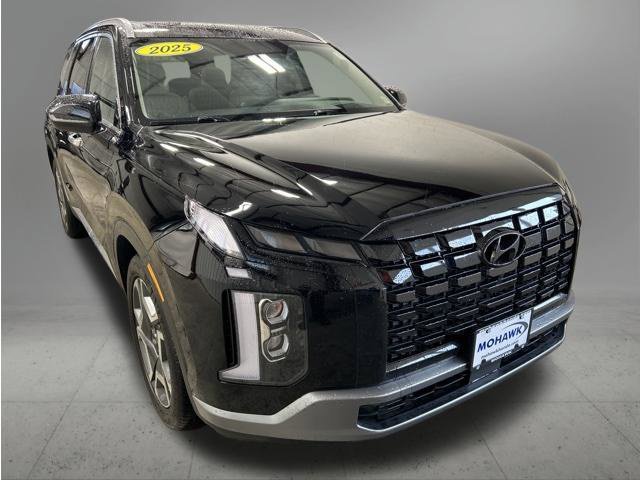 2025 Hyundai Palisade Limited - Photo 8