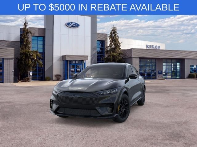 New 2026 Shadow Black Ford Premium image 2