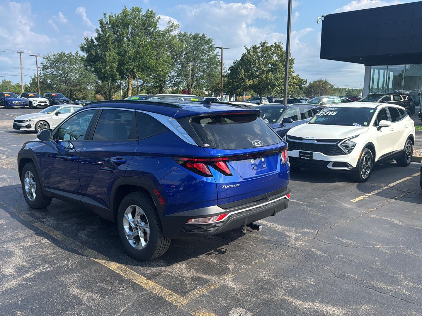 Used 2024 Intense Blue Hyundai SEL image 5