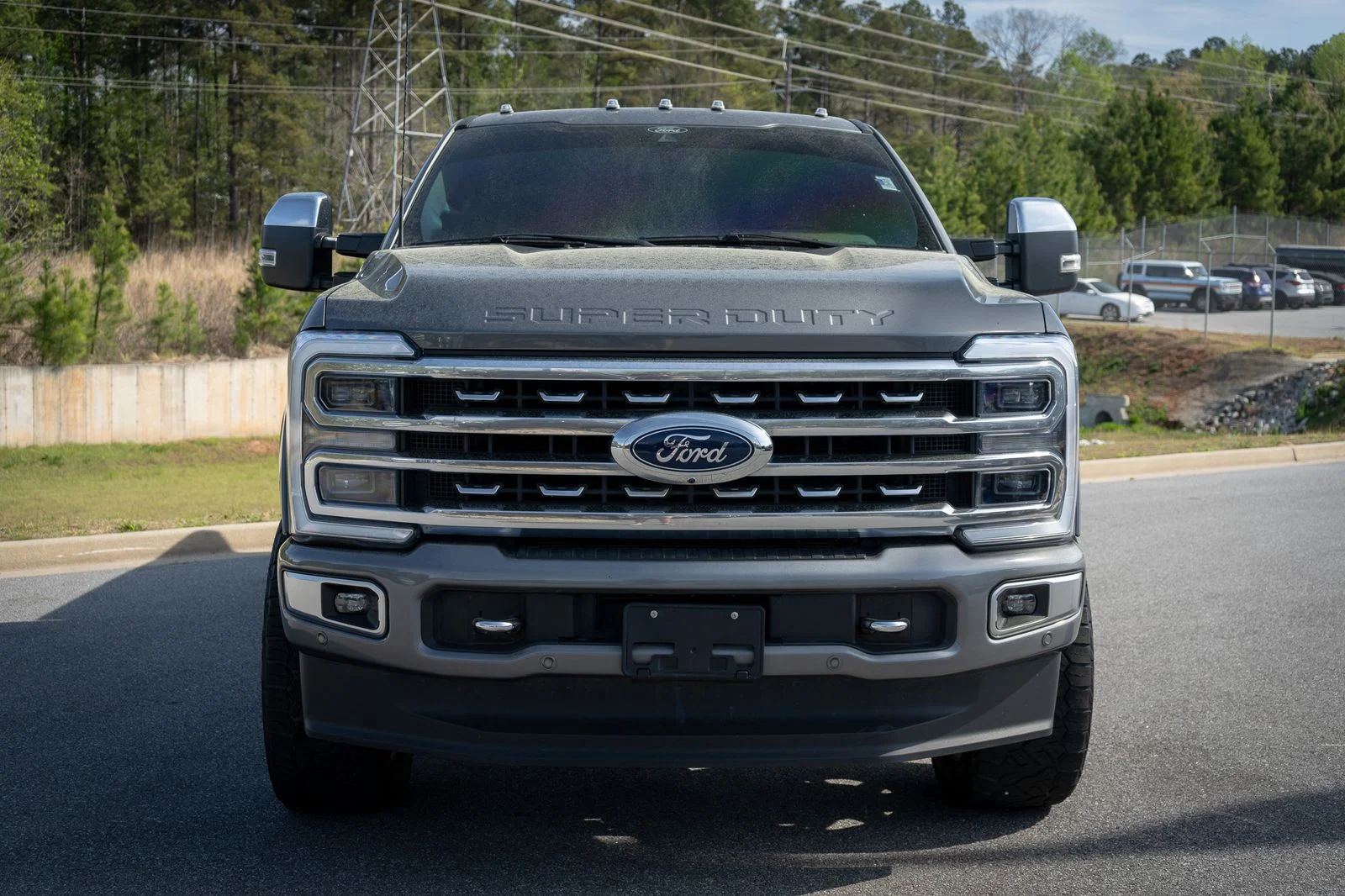 Used 2024 Gray Ford Platinum image 9
