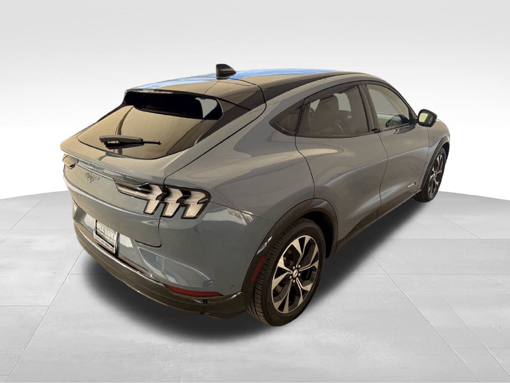 Used 2023 Vapor Blue Ford Premium image 5