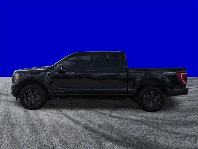 Used 2023 Agate Black Metallic Ford XLT image 7