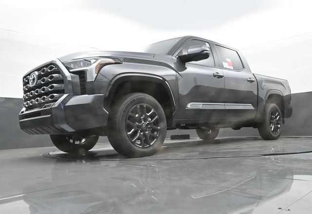 New 2026 Magnetic Gray Metallic Toyota Platinum image 27