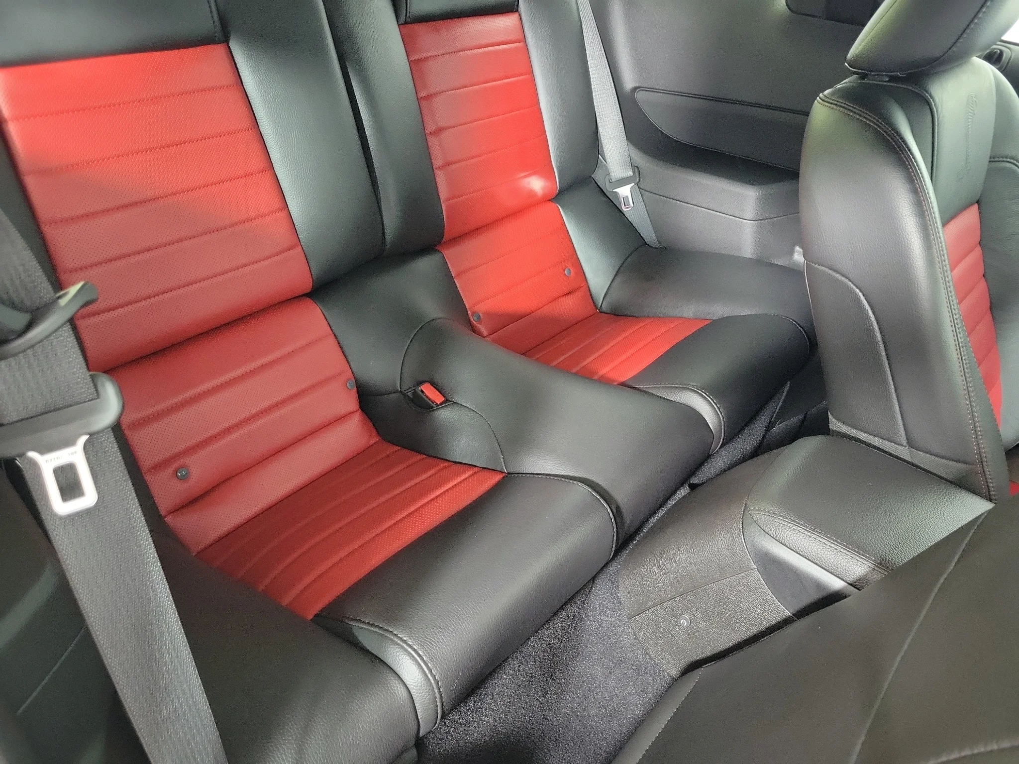 Used 2008 Ebony Clearcoat Ford Shelby GT500 image 15