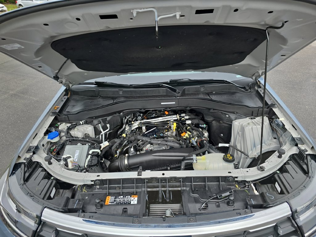 Used 2025 Blue Ford Active image 32
