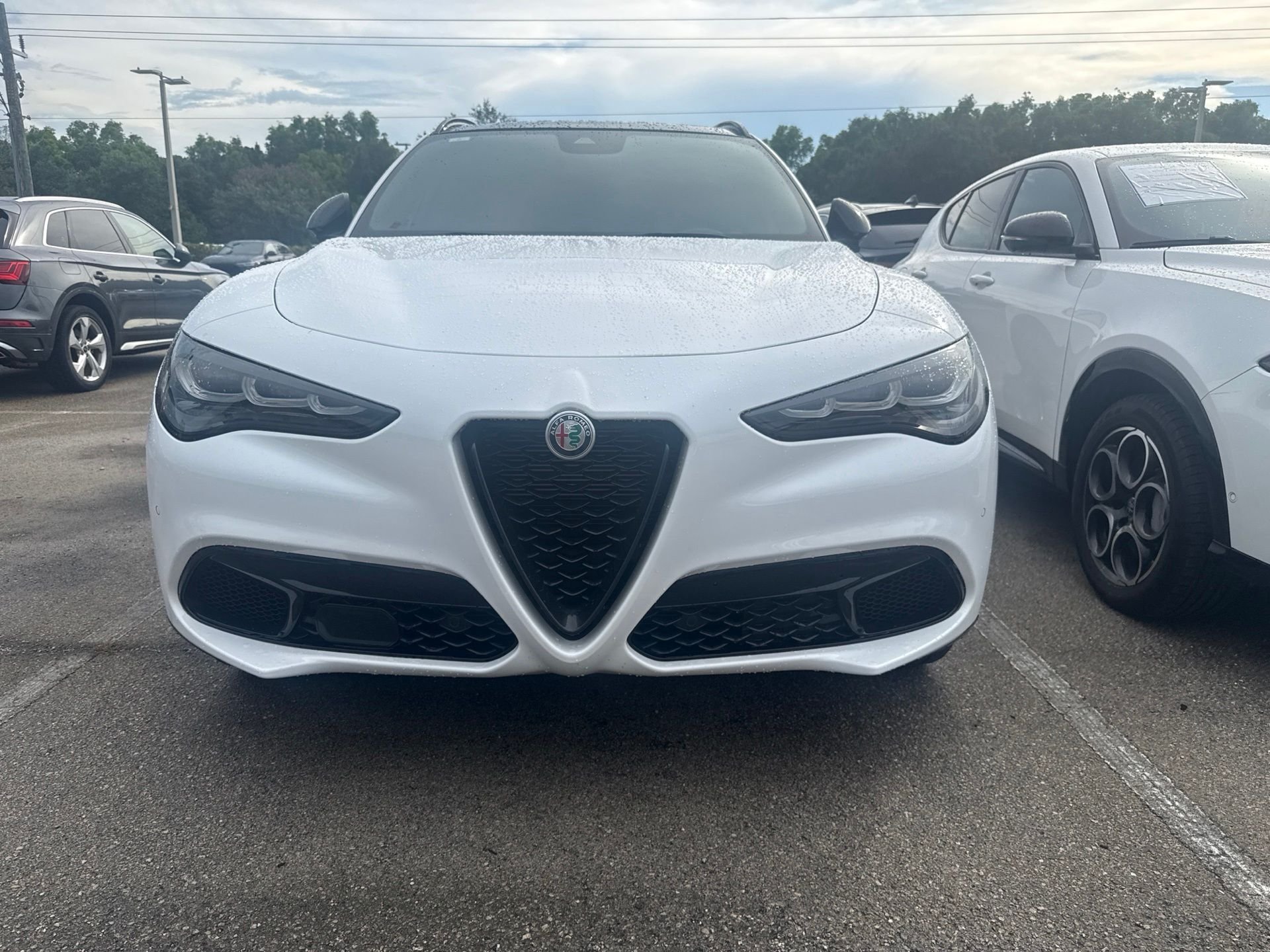 Used 2024 White Alfa Romeo Veloce image 1