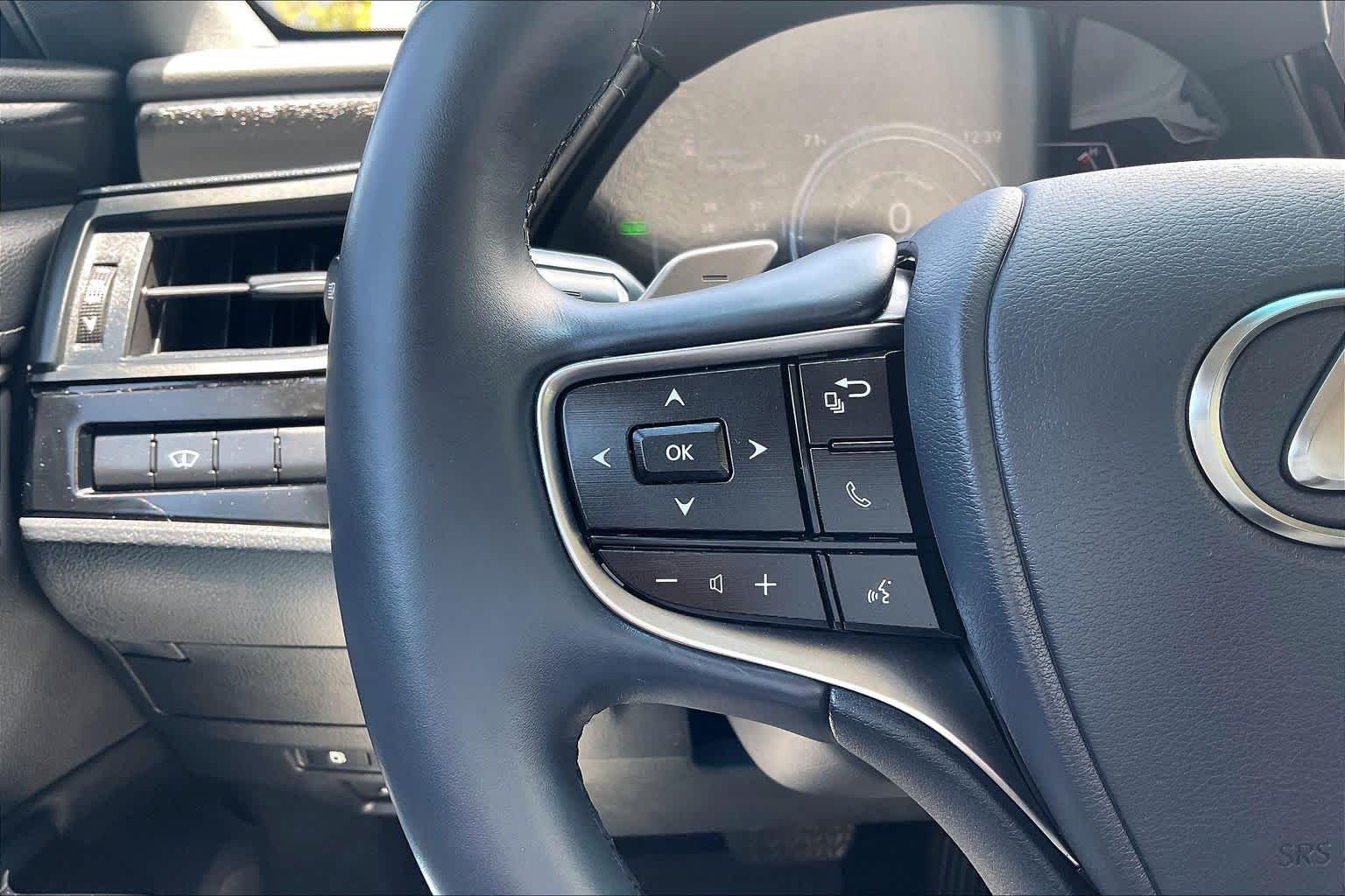 Certified Used 2025 Iridium Lexus  image 21