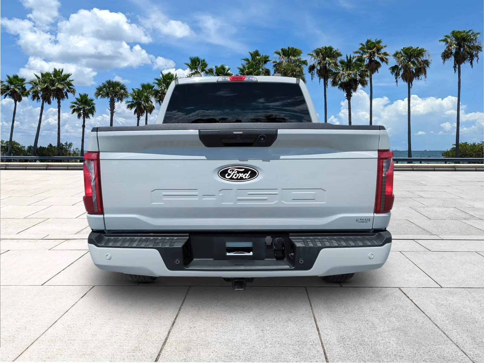 Used 2024 Avalanche Ford XLT image 7