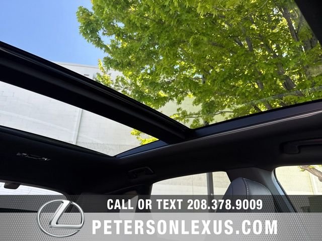 New 2026 Iridium Lexus PREMIUM PLUS image 13