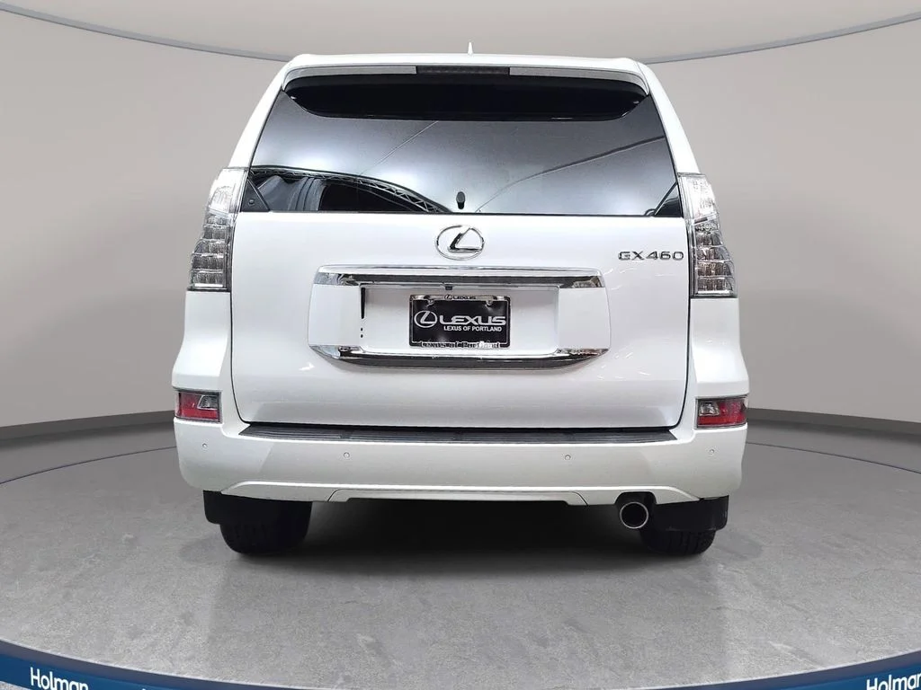 2019 Lexus GX LUXURY - Photo 7