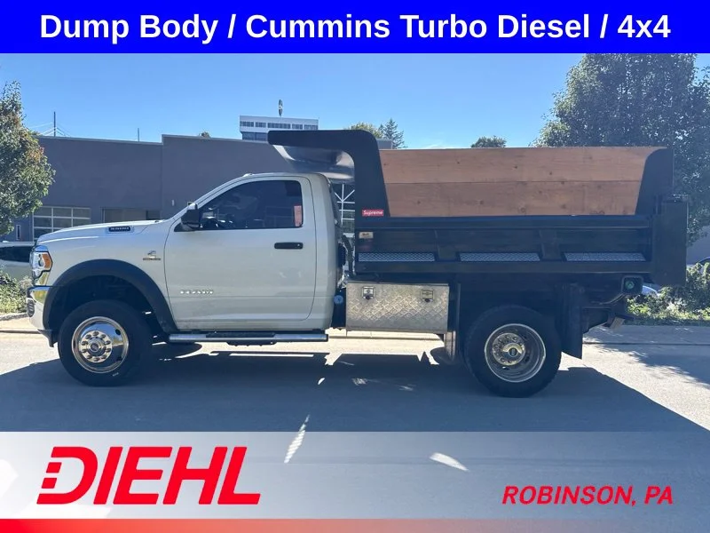 Used 2019 White Ram Tradesman image 4