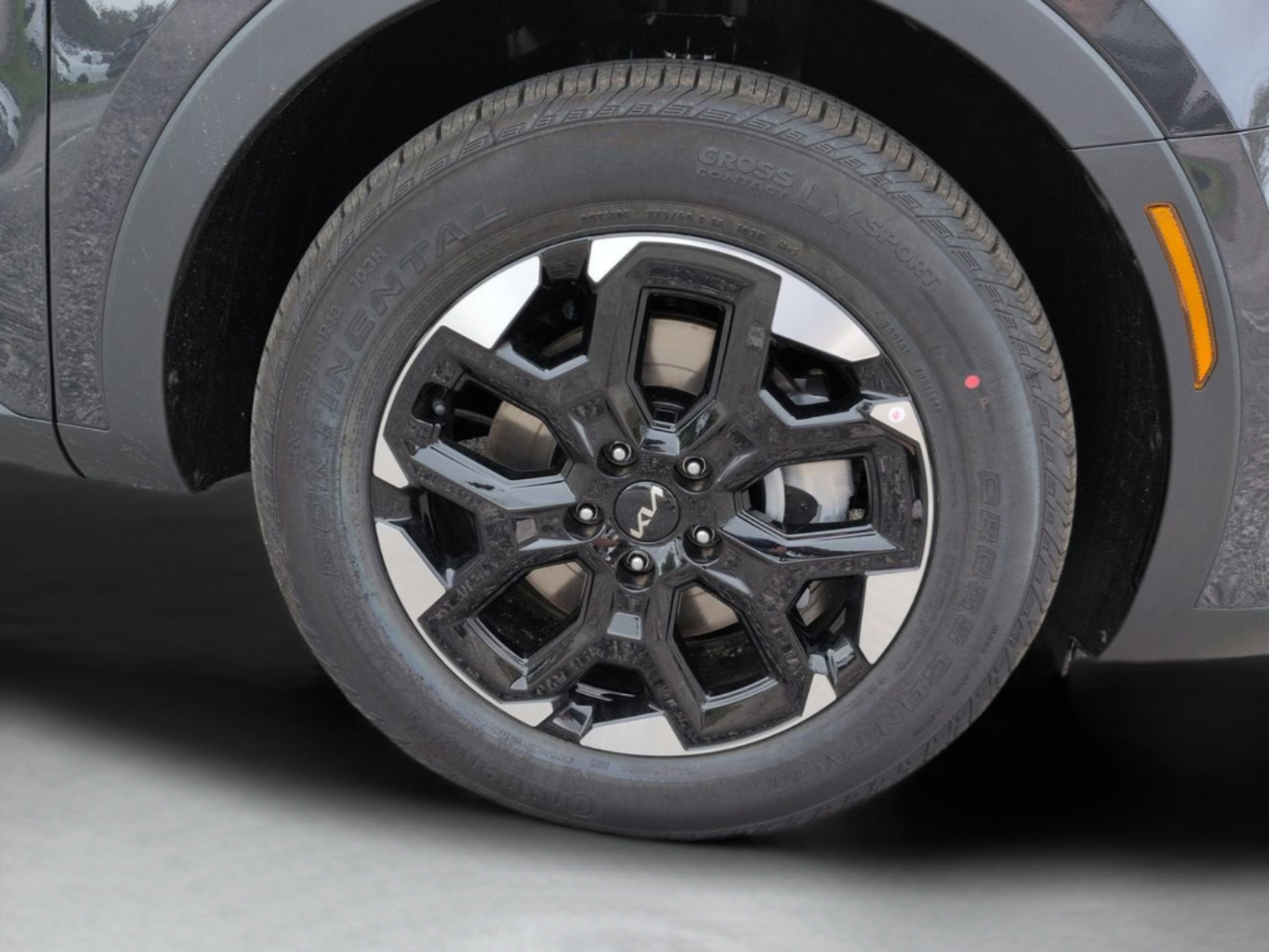 New 2026 Panthera Metal Kia S image 13