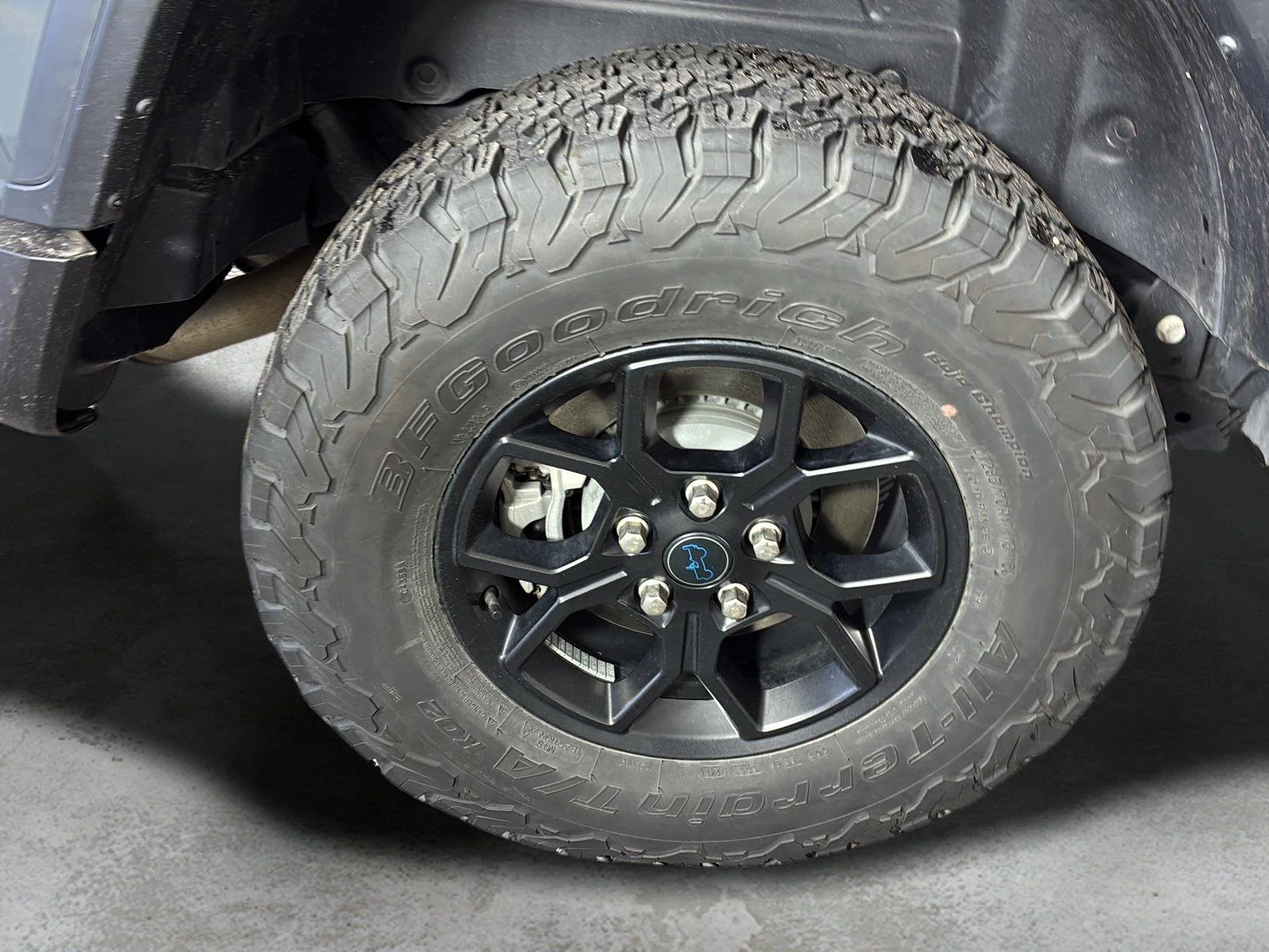 Used 2024 Anvil Clear Coat Jeep Willys image 14