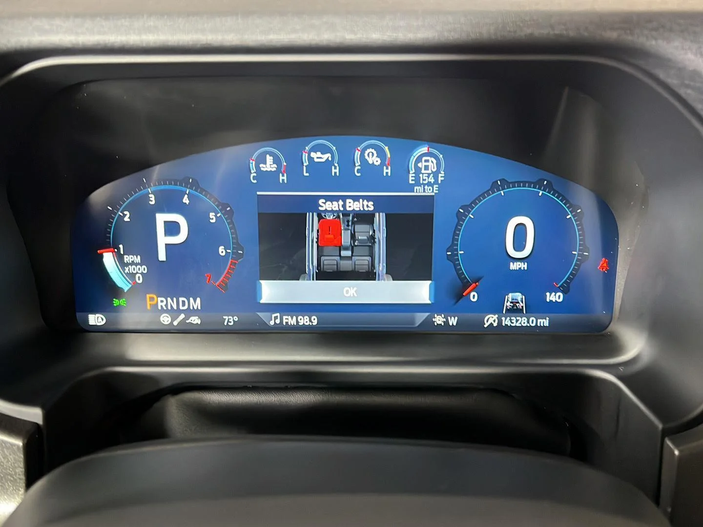 Used 2025 Marsh Gray Ford Raptor image 17