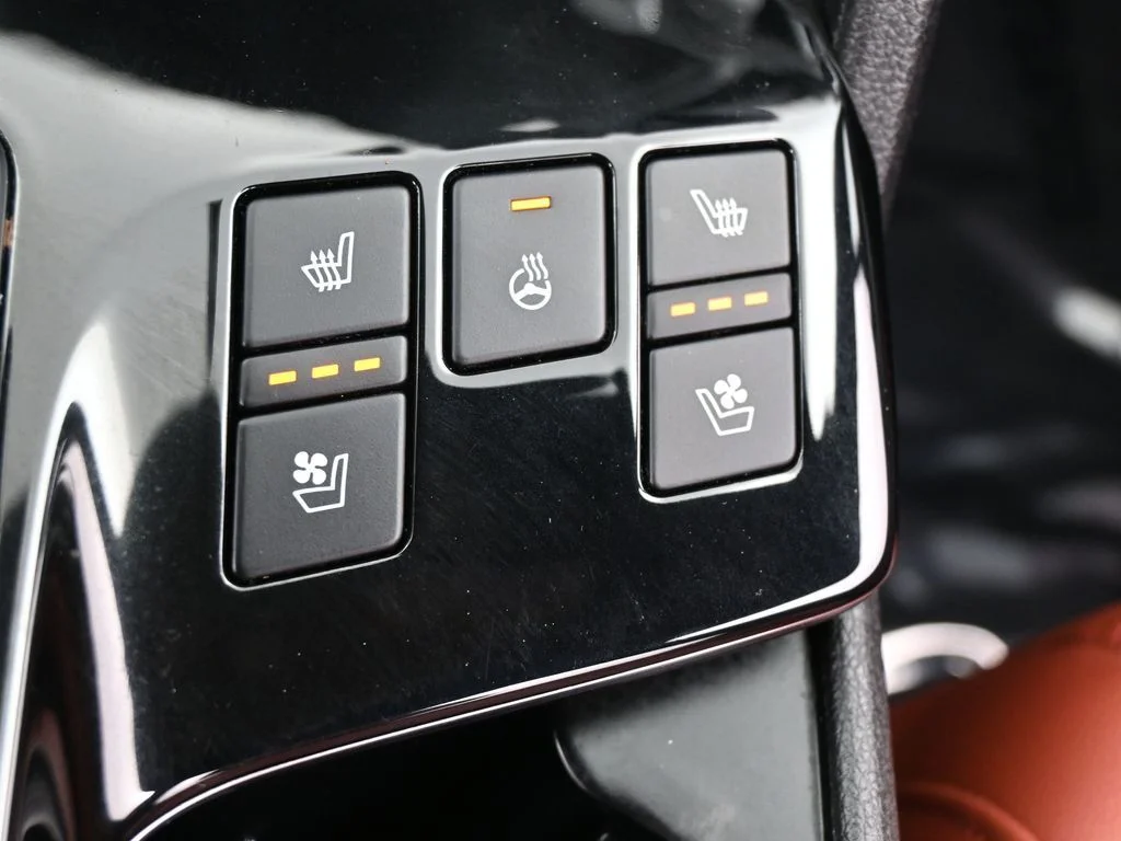 Used 2024 Ebony Black Kia SX-Prestige image 23