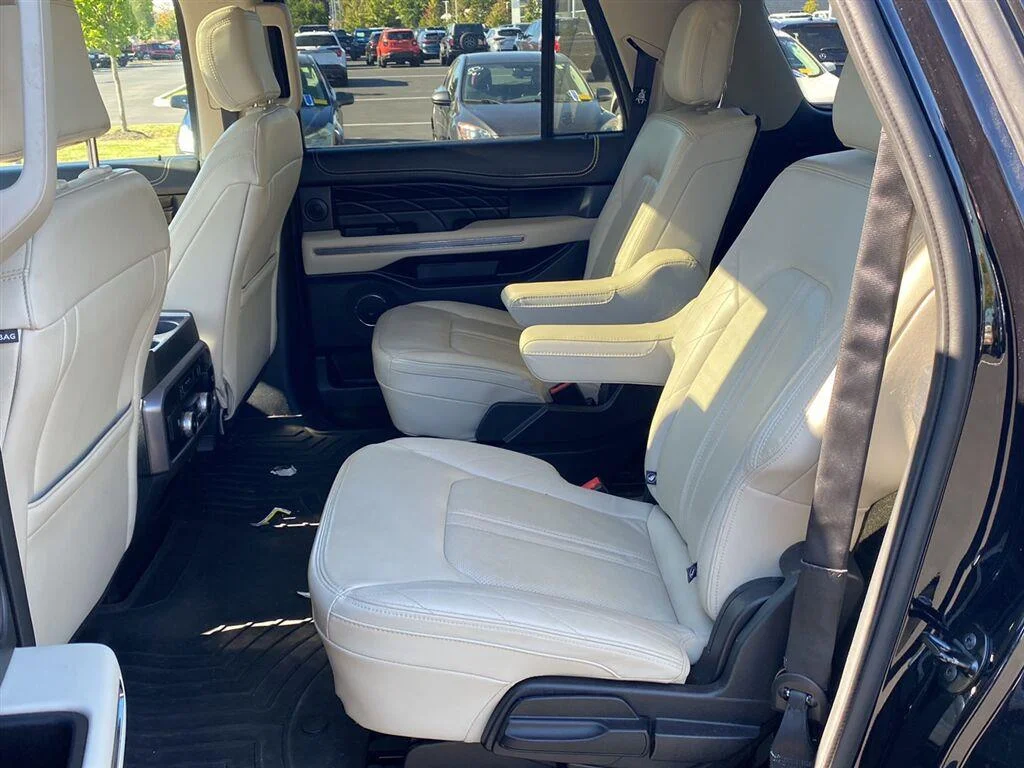 Used 2020 Agate Black Ford Platinum image 11