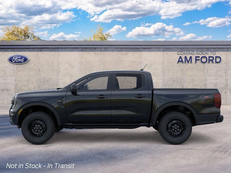 New 2026 Shadow Black Ford XL image 3