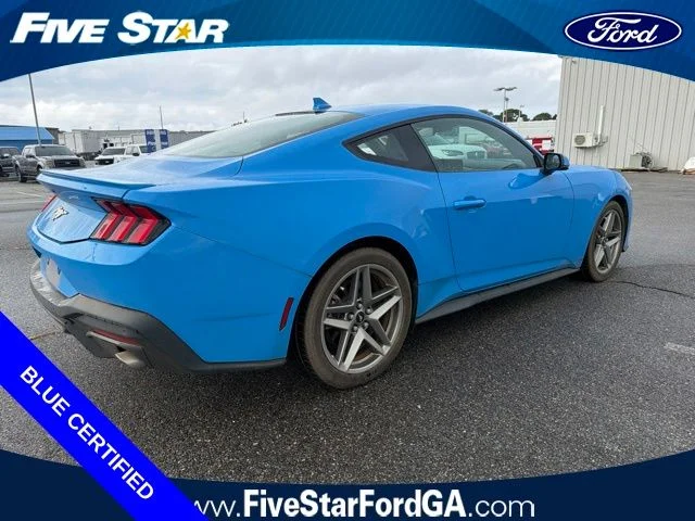 Used 2024 Grabber Blue Ford EcoBoost Premium image 3