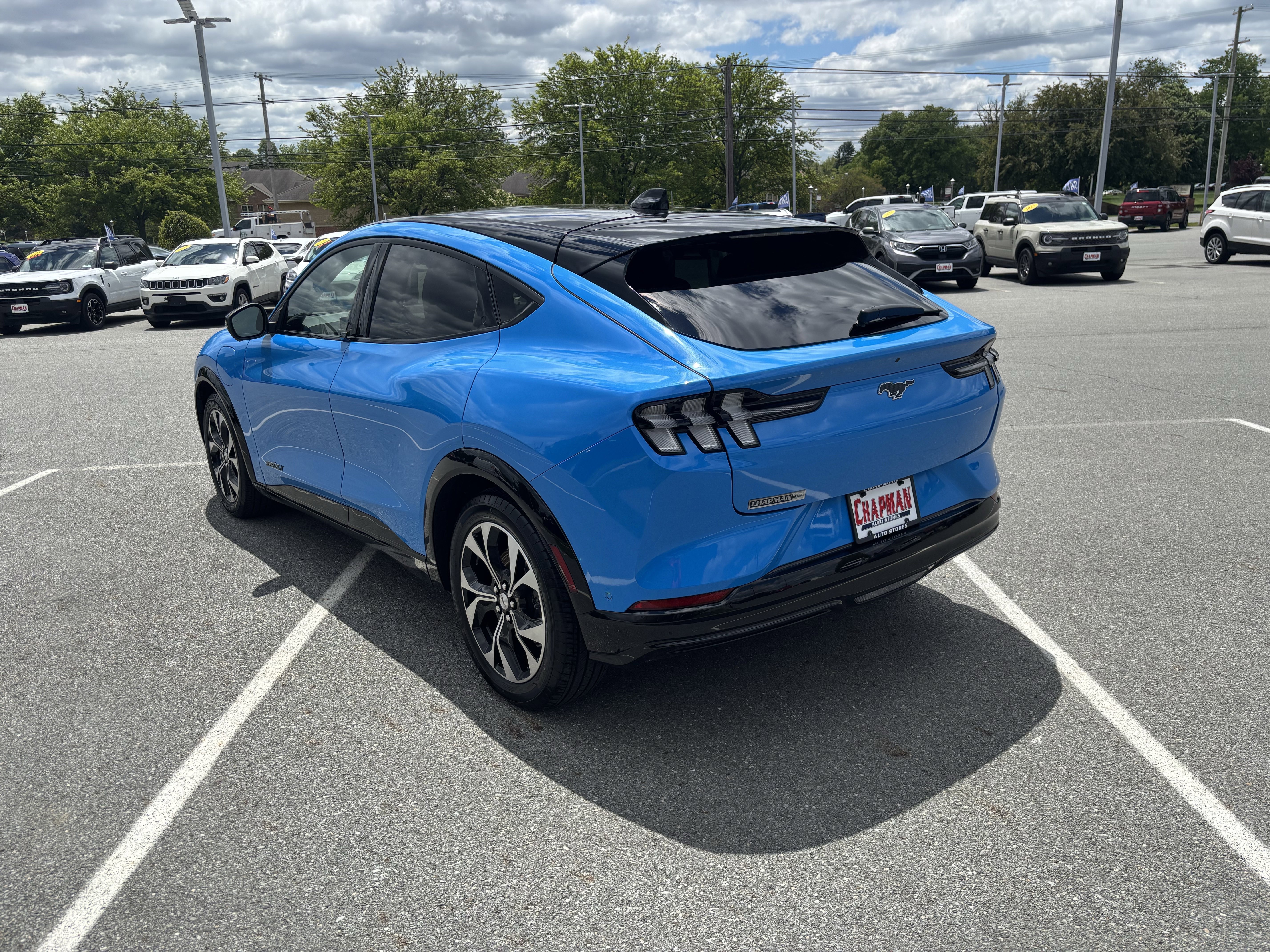Used 2023 Blue Ford Premium image 5