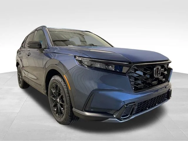New 2026 Blue Honda Sport-L image 10