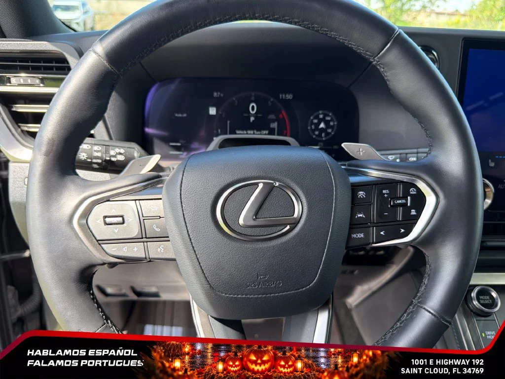 Used 2025 Gray Lexus Luxury image 16