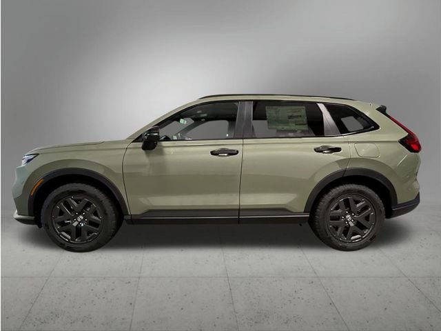 New 2027 Ash Green Metallic Honda TrailSport image 2
