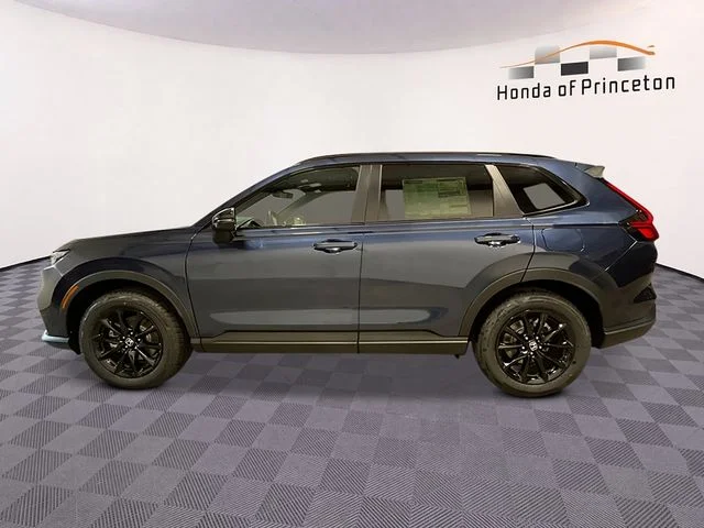 New 2026 Blue Honda Sport-L image 6