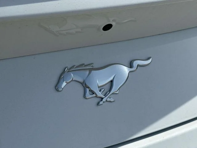 2025 Ford Mustang EcoBoost Premium Fastback - Photo 16